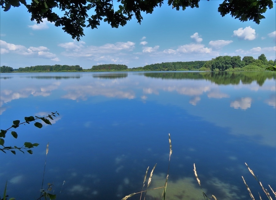 Rybník Káňov